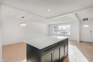 Photo 10: 216 Pinetree Place NE in Calgary: Pineridge Detached for sale : MLS®# A2013958