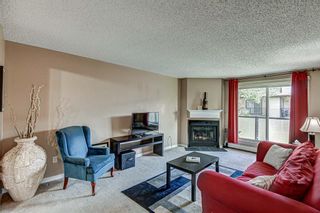 Photo 5: 3203 393 Patterson Hill SW in Calgary: Patterson Apartment for sale : MLS®# A2051640