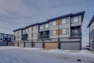 Photo 3: 866 Cornerstone Boulevard NE in Calgary: Cornerstone Row/Townhouse for sale : MLS®# A2118593