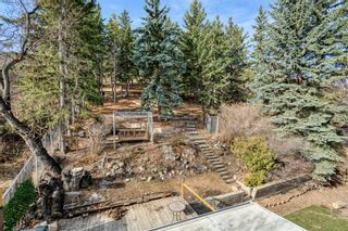 Photo 23: 8131 33 Avenue NW in Calgary: Bowness Detached for sale : MLS®# A1092257