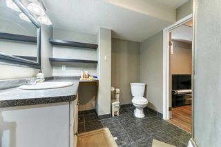 Photo 35: 71 APPLEMEAD Close in Calgary: Applewood Park Detached for sale : MLS®# A2055936
