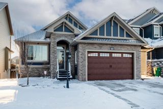 Photo 31: 1047 Bayside Drive SW: Airdrie Detached for sale : MLS®# A2101780
