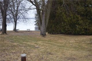 Photo 3: 99 Campbell Beach Road in Kawartha Lakes: Rural Carden Property for sale : MLS®# X4081023