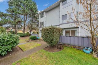 Main Photo: 24 3476 COAST MERIDIAN Road in Port Coquitlam: Lincoln Park PQ Townhouse for sale : MLS®# R2869160