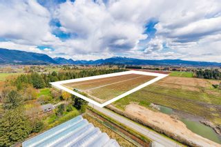 Photo 5: 14150 RIPPINGTON Road in Pitt Meadows: North Meadows PI Land for sale : MLS®# R2677915