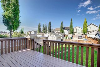 Photo 20: 36 Tuscany Ridge Way NW in Calgary: Tuscany Detached for sale : MLS®# A1244386