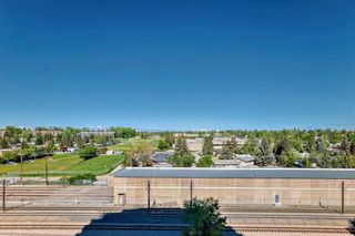 Photo 40: 619 8880 Horton Road SW in Calgary: Haysboro Apartment for sale : MLS®# A2138211