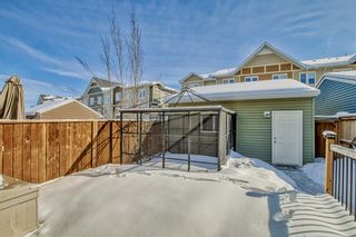 Photo 44: 172 Auburn Meadows Boulevard SE in Calgary: Auburn Bay Semi Detached (Half Duplex) for sale : MLS®# A2030446