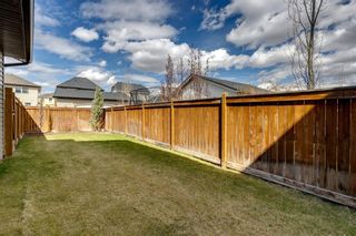 Photo 43: 212 Elgin Meadows Way SE in Calgary: McKenzie Towne Detached for sale : MLS®# A1216684