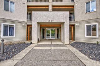 Photo 38: 205 4000 Citadel Meadow Point NW in Calgary: Citadel Apartment for sale : MLS®# A2079242