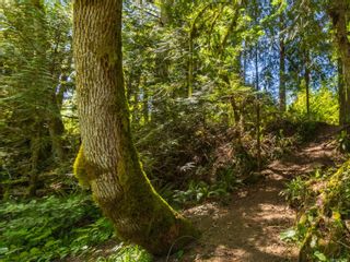 Photo 78: 700 Englishman River Rd in Errington: PQ Errington/Coombs/Hilliers House for sale (Parksville/Qualicum)  : MLS®# 903249
