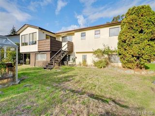 Photo 20: 4351 Columbia Dr in VICTORIA: SE Gordon Head House for sale (Saanich East)  : MLS®# 743380