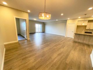 Photo 4: 406 499 Meadowlake Court E: Brooks Apartment for sale : MLS®# A1196358
