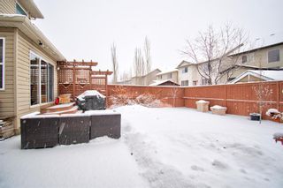 Photo 32: 270 Chapalina Terrace SE in Calgary: Chaparral Detached for sale : MLS®# A2021113