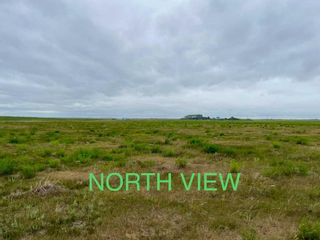 Photo 5: 270020 TWP 254 254015 RR270 NE in Rural Rocky View County: Rural Rocky View MD Commercial Land for sale : MLS®# A1163137