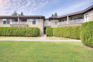 Photo 16: 11 2120 CENTRAL AVENUE in Port Coquitlam: Central Pt Coquitlam Condo for sale : MLS®# R2183579