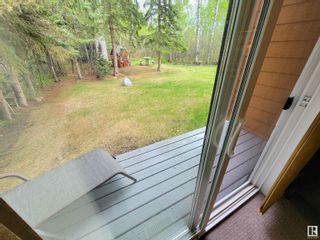 Photo 23: 103A 2nd Street: Rural Wetaskiwin County House for sale : MLS®# E4340131