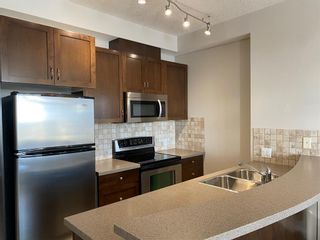 Photo 11: 3415 24 Hemlock Crescent SW in Calgary: Spruce Cliff Apartment for sale : MLS®# A2009274