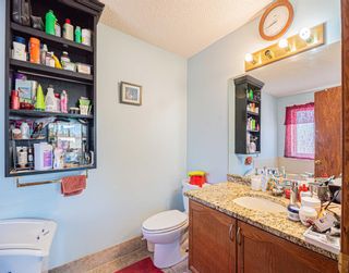Photo 25: 76 Applewood Way SE in Calgary: Applewood Park Detached for sale : MLS®# A2019732