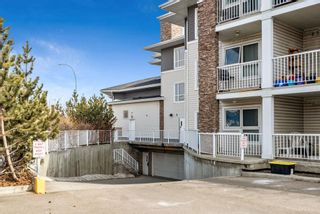 Photo 25: 208 8200 4 Street NE in Calgary: Beddington Heights Apartment for sale : MLS®# A2034244
