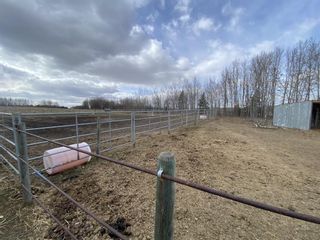 Photo 41: 262011 Township Road 422: Rural Ponoka County Detached for sale : MLS®# A1204132