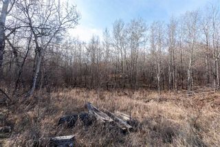 Photo 20: 50251 Rge. Rd. 25 in Rural Vermilion River, County of: Rural Vermilion River County Residential Land for sale : MLS®# A2107926