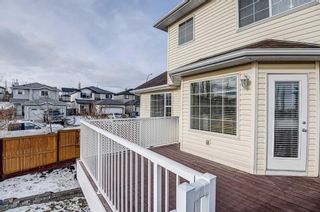 Photo 39: 202 Royal Birch View NW in Calgary: Royal Oak Detached for sale : MLS®# A2018751