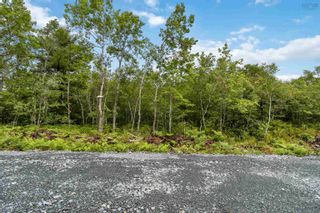Photo 6: Lot 12 Maple Ridge Drive in White Point: 406-Queens County Vacant Land for sale (South Shore)  : MLS®# 202315158