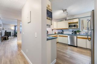 Photo 10: 504 333 2 Avenue NE in Calgary: Crescent Heights Apartment for sale : MLS®# A2020021