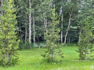 Photo 4: 60116 RR 231: Rural Thorhild County House for sale : MLS®# E4303625