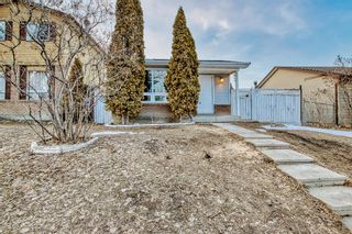 Photo 39: 107 Erin Woods Drive SE in Calgary: Erin Woods Detached for sale : MLS®# A2034907