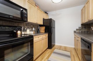 Photo 10: 201 930 18 Avenue SW in Calgary: Lower Mount Royal Apartment for sale : MLS®# A1252221