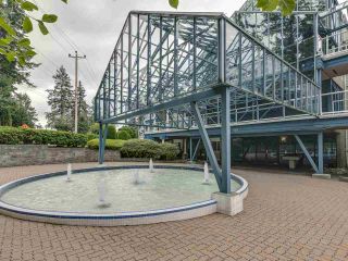 Photo 26: 203 999 BERKLEY Road in North Vancouver: Blueridge NV Condo for sale in "Berkley Terraces" : MLS®# R2518295