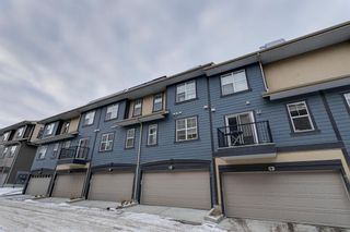 Photo 35: 39 Evanscrest Court NW in Calgary: Evanston Row/Townhouse for sale : MLS®# A2015861