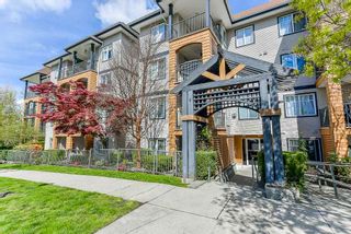 Photo 16: 307 12207 224 Street in Maple Ridge: West Central Condo for sale in "THE EVERGREEN" : MLS®# R2384261