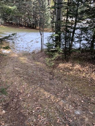Photo 14: 231057 Rge Rd 54: Bragg Creek Residential Land for sale : MLS®# A1118605