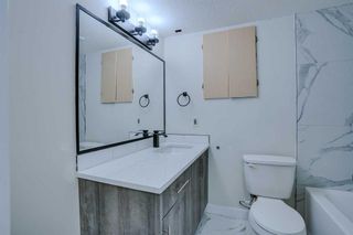 Photo 40: 26 Dovercliffe Close SE in Calgary: Dover Detached for sale : MLS®# A2115155