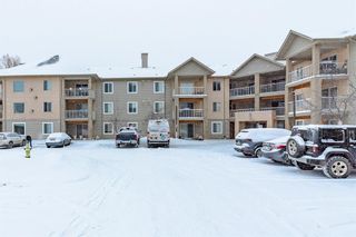 Photo 1: 314 1000 Citadel Meadow Point NW in Calgary: Citadel Apartment for sale : MLS®# A2014604