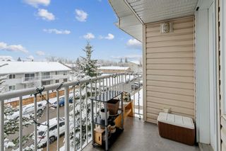 Photo 18: 301 4327 75 Street NW in Calgary: Bowness Apartment for sale : MLS®# A2124408