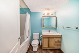 Photo 28: 94 Cranfield Green SE in Calgary: Cranston Detached for sale : MLS®# A2126945