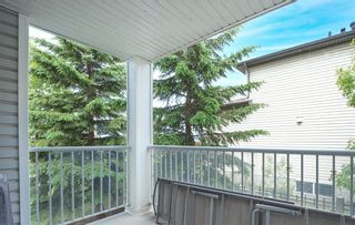 Photo 30: 212 3212 Valleyview Park SE in Calgary: Dover Apartment for sale : MLS®# A1116209