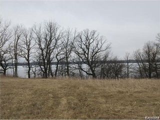 Photo 4: 130 lakeview meadows Drive in Pelican Lake: R34 Residential for sale (R34 - Turtle Mountain)  : MLS®# 202018619