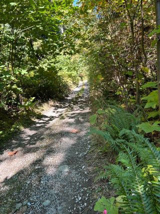 Photo 20: 2020 MISTY'S Lane in Squamish: Paradise Valley Land for sale : MLS®# R2819241