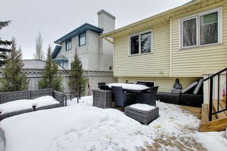 Photo 46: 25 Douglas Woods Grove SE in Calgary: Douglasdale/Glen Detached for sale : MLS®# A1244750