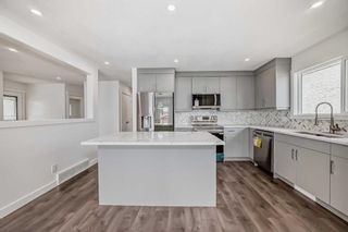 Photo 6: 5704 Pinepoint Drive NE in Calgary: Pineridge Detached for sale : MLS®# A2142273