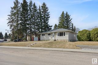 Photo 1: E4384075 | 10328 73 Street House in Terrace Heights (Edmonton)