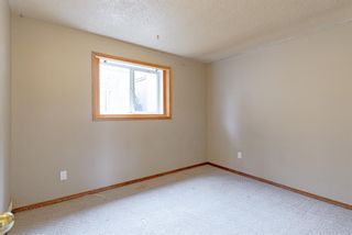 Photo 21: 3902 26 Avenue SE in Calgary: Forest Lawn Semi Detached for sale : MLS®# A1235033