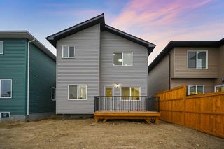 Photo 50: 127 Saddlecrest Grove NE in Calgary: Saddle Ridge Detached for sale : MLS®# A2089102