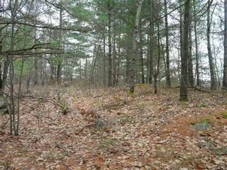 Photo 3: 0 St Georges Lake Road in Central Frontenac: Property for sale : MLS®# X3224210