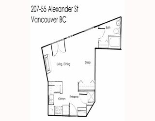 Photo 9: 207 55 ALEXANDER Street in Vancouver: Downtown VE Condo for sale in "GASTOWN" (Vancouver East)  : MLS®# V745072
